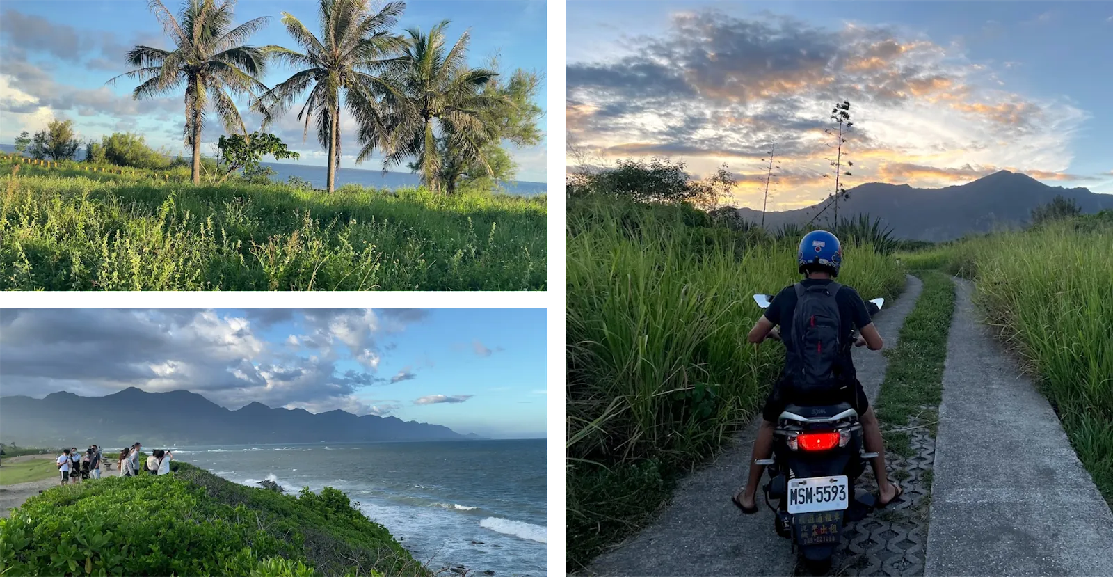 Dulan, Taitung: palm trees on a grassy seaside cliff, a mountain coastline, and a scooter on a path through tall grass