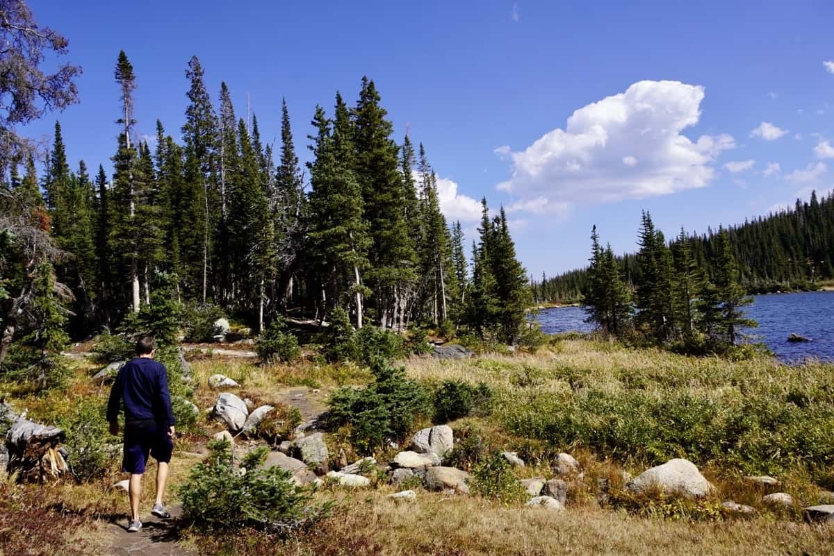A man walking a trail through pines and meadow toward a mountain lake