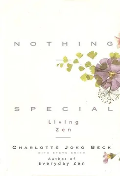 Cover of Nothing Special