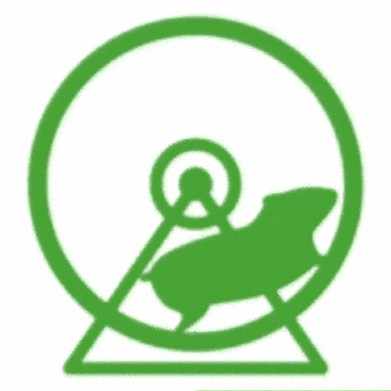 Hamster running on wheel