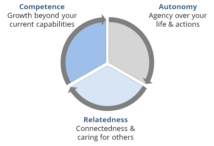 self-determination theory - motivation at work