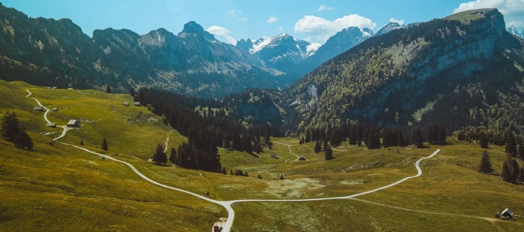 People carving their own paths